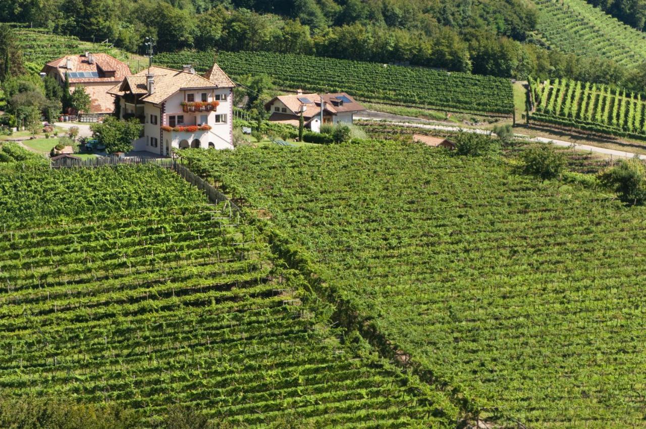 Santlhof - Sauvignon Appartement Cortaccia Buitenkant foto